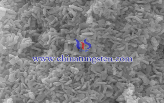 Blue Tungsten Oxide SEM Picture