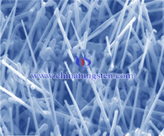 Blue Tungsten Oxide SEM Picture