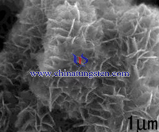 Violet Tungsten Oxide SEM Picture