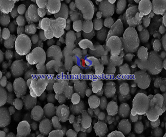 Yellow Tungsten Oxide SEM Micrograph Picture