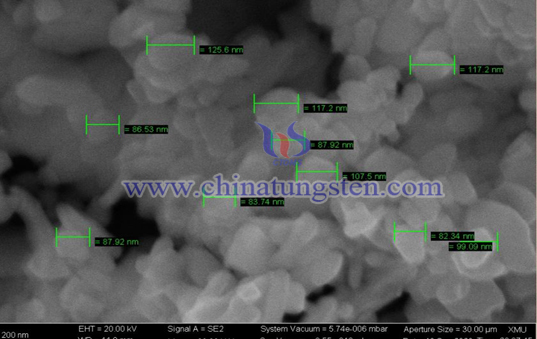 tungsten oxide nano powder 100nm SEM picture