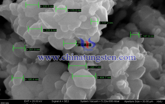 tungsten oxide nano powder 300nm SEM picture