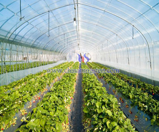 Heat Insulating Agricultural Membrane Picture