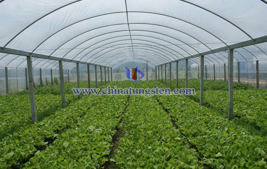 Heat Insulating Agricultural Membrane Picture