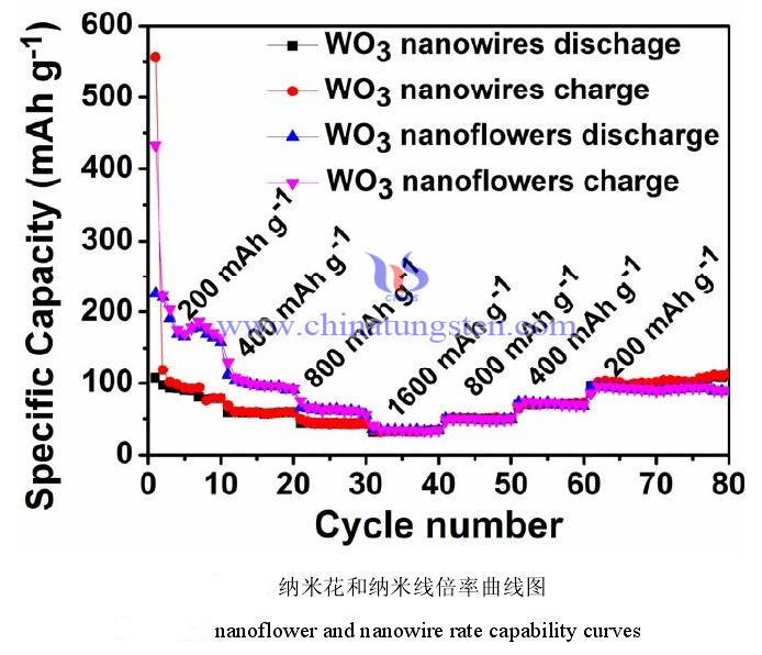 倍率性能图片