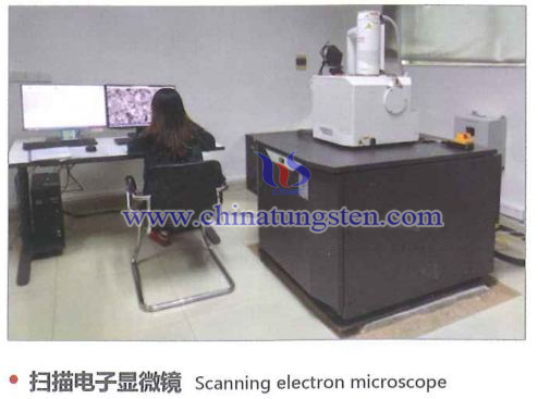Scanning Electron Microscope Picture