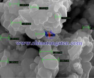 Ultrafine Tungsten Oxide SEM Picture